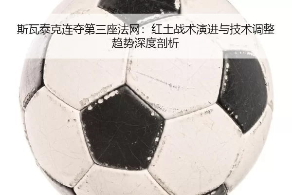 si-wa-tai-ke-lian-duo-di-san-zuo-fa-wang-hong-tu-zhan-shu-yan-jin-yu-ji-shu-tiao-zheng-qu-shi-shen-du-pou-xi-2-179.jpg